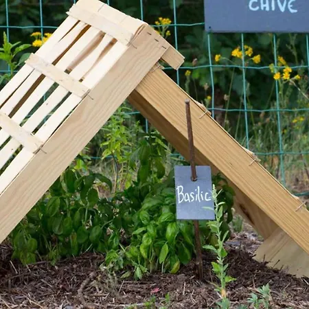 Confortable Avec Terrasse, Animaux Ok - 6 Pers. - Api-1-52-2980